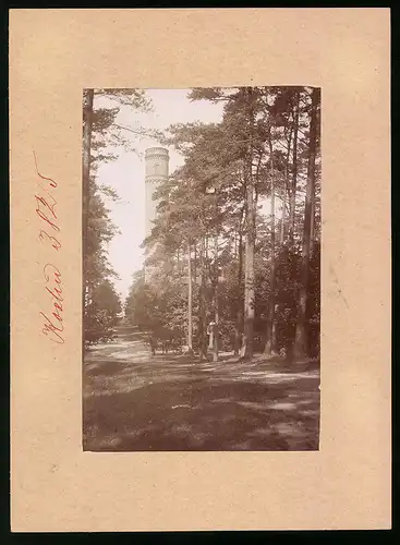 Fotografie Brück & Sohn Meissen, Ansicht Köslin, Blick zum Aussichtsturm auf dem Gollen