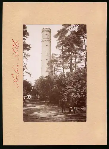 Fotografie Brück & Sohn Meissen, Ansicht Köslin, Aussichtsturm auf dem Gollen
