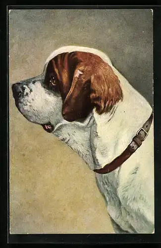 Künstler-AK Seitenportrait eines Bernhardiners mit Halsband