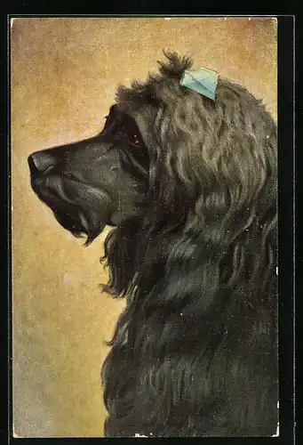 Künstler-AK Portrait eines langhaarigen schwarzen Hundes