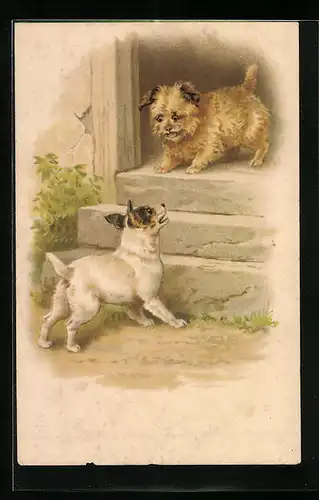 Künstler-AK Zwei Hunde beim Spiel an einer Eingangstreppe