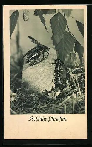 AK Zwei Maikäfer auf einem Stein - Pfingstgruss