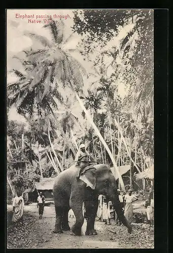 AK Arbeitselefant mit Reiter in einem Dorf im Urwald