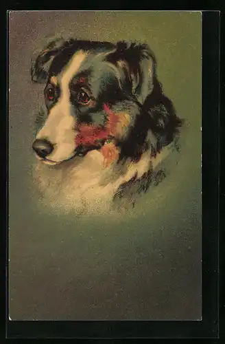Künstler-AK Portrait eines Hundes mit sorgenvollem Blick