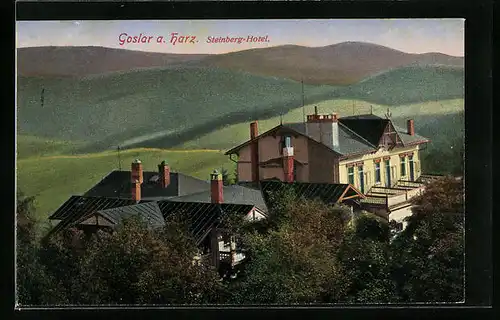 AK Goslar a. Harz, Steinberg-Hotel aus der Vogelschau