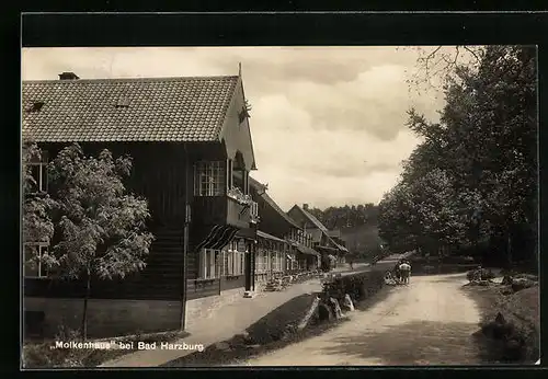 AK Bad Harzburg, Partie am Gasthof Molkenhaus
