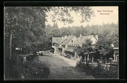 AK Bad Harzburg, Gasthof Molkenhaus mit Zufahrtsstrasse