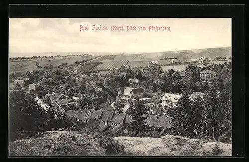 AK Bad Sachsa /Harz, Blick vom Pfaffenberg