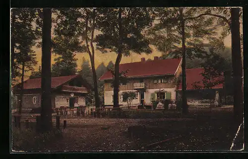 AK Neukirchen /Bayr. Wald, Gasthof Forsthaus Hohenbogen, Aussenansicht
