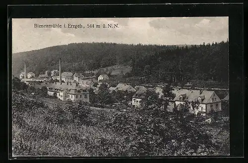 AK Bienenmühle i. Erzgeb., Teilansicht