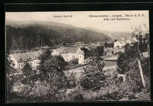 AK Bienenmühle i. Erzgeb., Ortspartie mit Kadens Gasthof und Blick nach Rechenberg