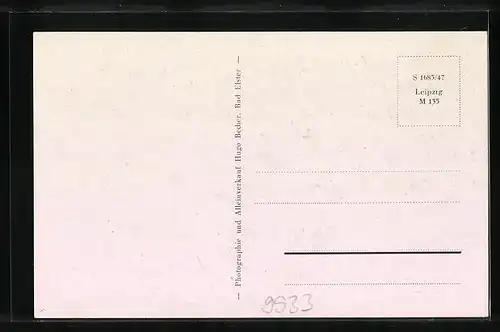 AK Bad Elster, Strassenpartie mit Gebäudeansicht