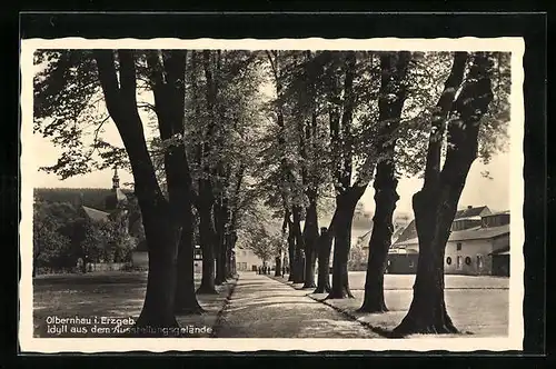 AK Olbernhau i. Erzgeb., Idyll aus dem Ausstellungsgelände