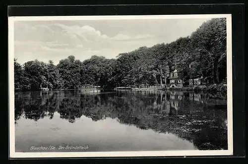 AK Glauchau i. Sa., Blick auf den Gründelteich