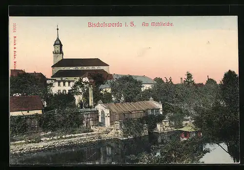 AK Bischofswerda i. Sa., Am Mühlteiche mit Blick zur Kirche