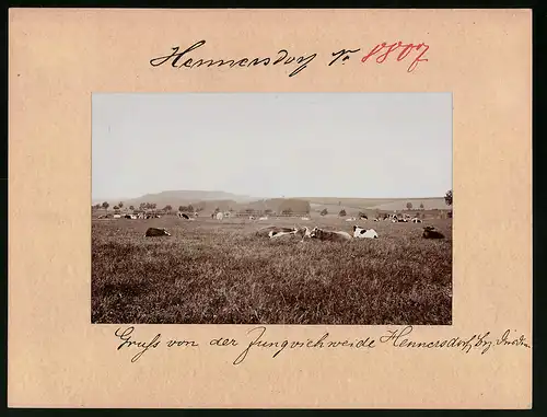 Fotografie Brück & Sohn Meissen, Ansicht Hennersdorf Bez. Dresden, Blick auf die Jungviehweide beim Ort