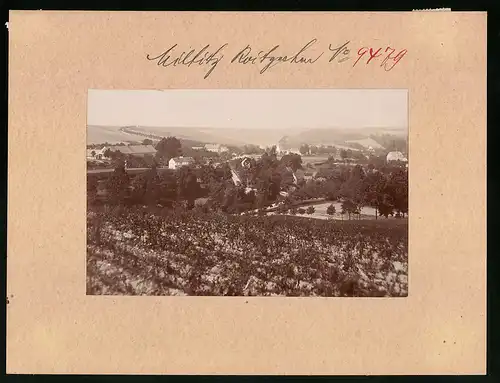 Fotografie Brück & Sohn Meissen, Ansicht Miltitz-Roitzschen, Blick vom Feld auf den Ortsteil Roitzschen