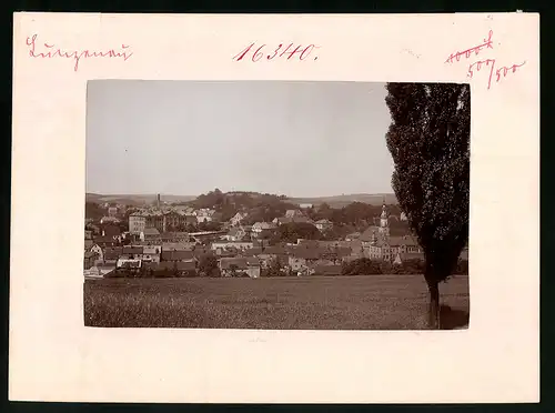 Fotografie Brück & Sohn Meissen, Ansicht Lunzenau a. d. Mulde, Blick auf die Stadt mit Wohnhäusern