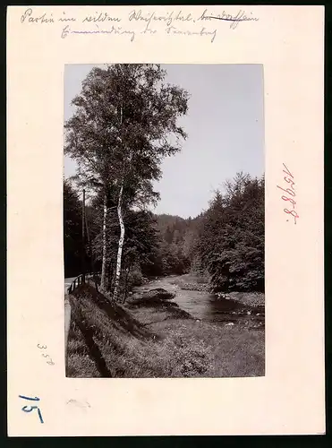 Fotografie Brück & Sohn Meissen, Ansicht Weisseritztal, Blick auf die Einmündung der Seerenbach