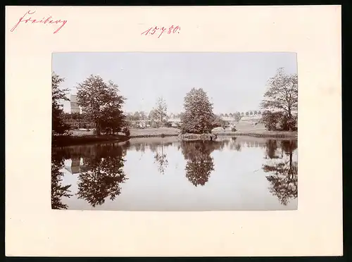 Fotografie Brück & Sohn Meissen, Ansicht Freiberg i. Sa., Blick auf den Teich in den Johannisanlagen