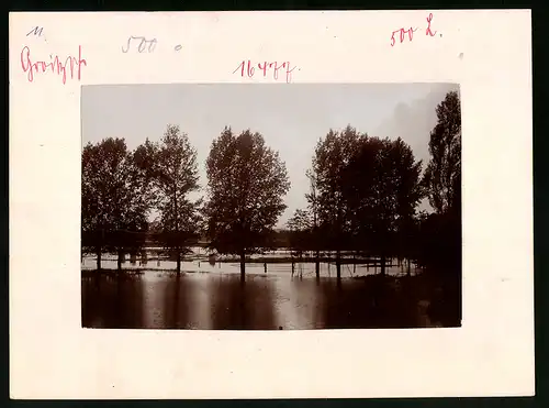Fotografie Brück & Sohn Meissen, Ansicht Groitzsch, Abend an der Schwennigke bei Hochwasser