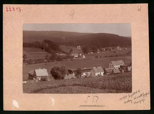 Fotografie Brück & Sohn Meissen, Ansicht Neuhausen i. Sa., Teilansicht der Ortschaft
