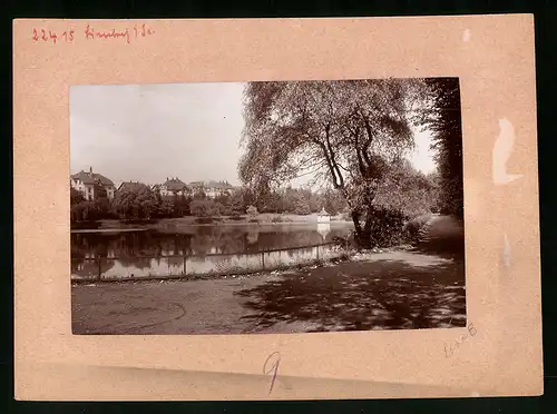 Fotografie Brück & Sohn Meissen, Ansicht Limbach i. Sa., Partie im Stadtpark mit Blick auf den Ort, Entenhäuschen