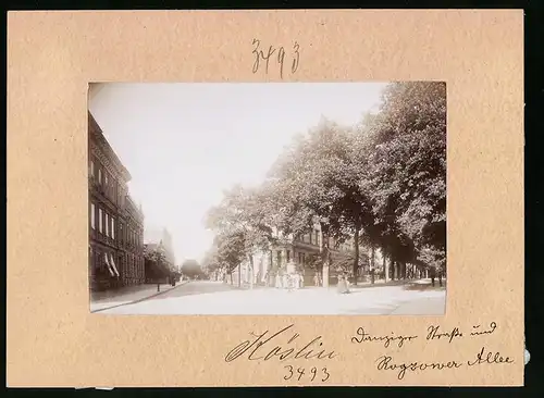 Fotografie Brück & Sohn Meissen, Ansicht Köslin, Danziger Strasse Ecke Rogzower Allee
