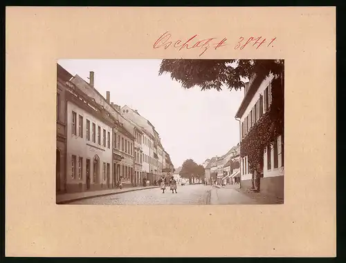 Fotografie Brück & Sohn Meissen, Ansicht Oschatz, Altoschatzer Strasse mit Laden von Richard Naumann