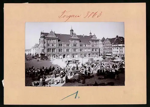 Fotografie Brück & Sohn Meissen, Ansicht Torgau, Marktplatz mit Marktständen und Brunnen