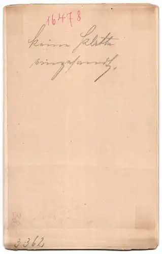 Fotografie Brück & Sohn Meissen, Ansicht Penig, Mulde mit Bade-Anstalt & Foto-Atelier Ernst Freygang