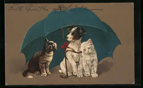Künstler-AK Hund und Katzen unter einem Regenschirm