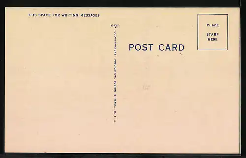 AK New York, Leopard auf einem Kletterfelsen im Zoo