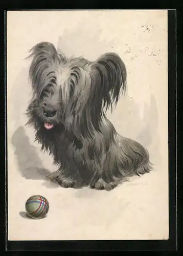 Künstler-AK Kleiner Yorkshire-Terrier mit Ball