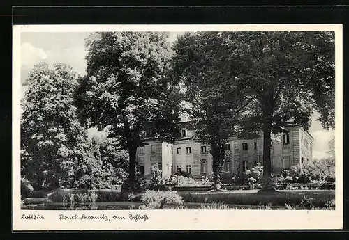 AK Cottbus, Park Branitz mit Blick aufs Schloss