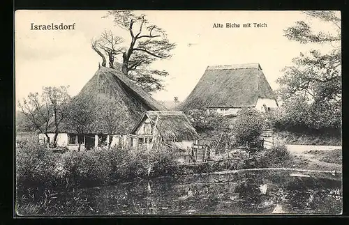 AK Israelsdorf, Alte Eiche mit Teich