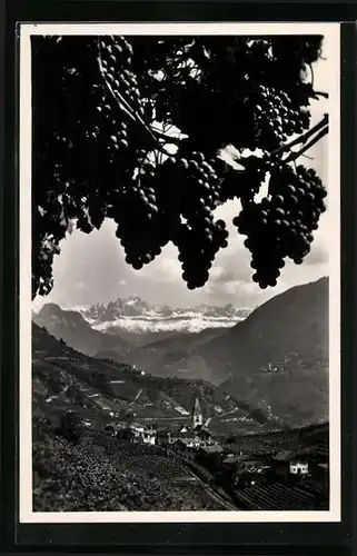 AK St. Magdalena bei Bozen, Ortsansicht mit Weintrauben