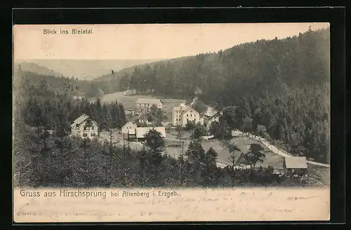 AK Hirschsprung b. Altenberg, Ortsansicht aus der Vogelschau