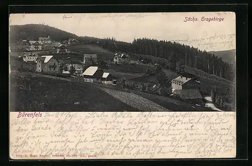 AK Bärenfels i. sächs. Erzgebirge, Ortsansicht im Grünen