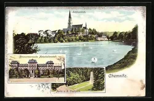 AK Chemnitz, Schlossteich mit Zimmermannscher Naturheilanstalt