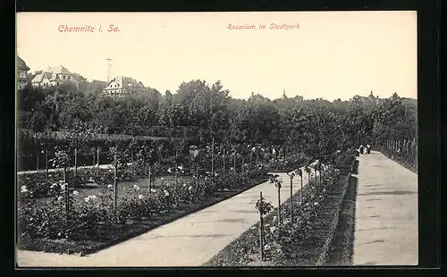 AK Chemnitz i. Sa., Rosarium im Stadtpark