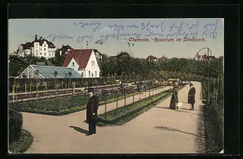 AK Chemnitz, Rosarium im Stadtpark