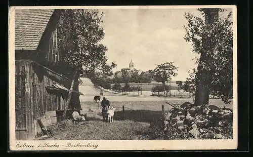 AK Eibau i. Sachs., Beckenberg mit Kirche