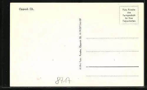 AK Oppach i. O.-L., Blick über den Ort