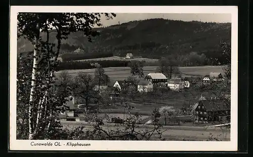 AK Klipphausen b. Cunewalde, Ortsansicht im Grünen