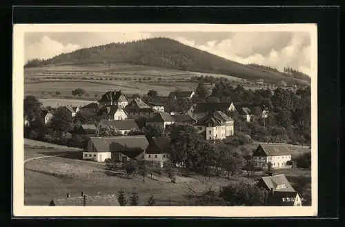 AK Hainewalde i. Sa., Blick nach Bahnhof und Breiteberg