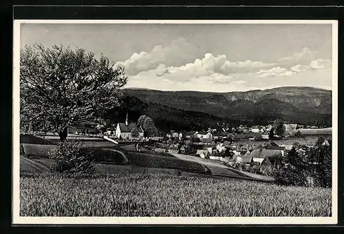 AK Hinterhermsdorf i. säschs. Schweiz, Ortsansicht mit Kirche