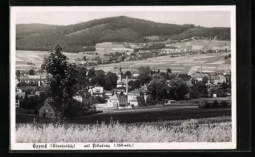 AK Oppach /Oberlausitz, Teilansicht mit Pickaberg