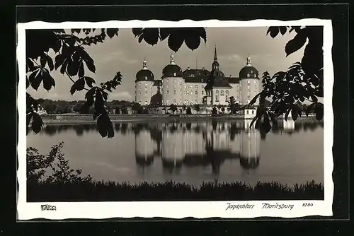 Foto-AK Walter Hahn, Dresden, Nr. 8780: Moritzburg, Jagdschloss Moritzburg