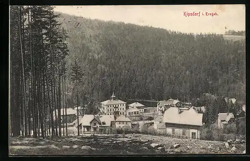 AK Kipsdorf i. Erzgeb., Teilansicht